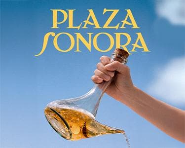 alt_im: Plaza Sonora